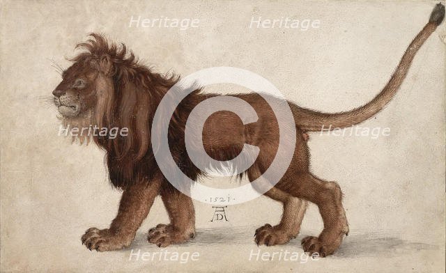 Lion, 1521. Creator: Dürer, Albrecht (1471-1528).