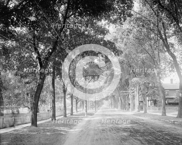 Brinkerhoff St. (west from park), Plattsburgh, N.Y., c1907. Creator: Unknown.
