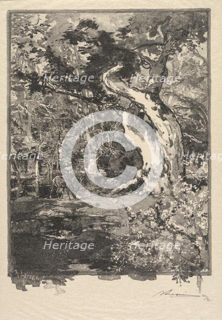Fontainebleau Forest: Le Clovis, Plateau de Bellecroix (La Forêt de Fontainebleau...), 1890. Creator: Auguste Louis Lepère (French, 1849-1918); A. Desmoulins, Published in Revue Illustrée, 1887-90.