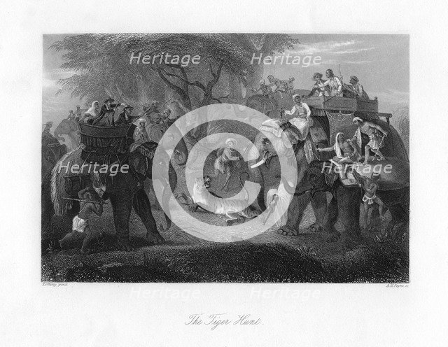 'The Tiger Hunt'. Artist: AH Payne