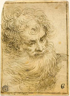 Head of Bearded Old Man (recto), 17th/18th century. Creator: Unknown.