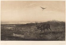 Le Soir. Cerf et Herons. Creator: Karl Bodmer.