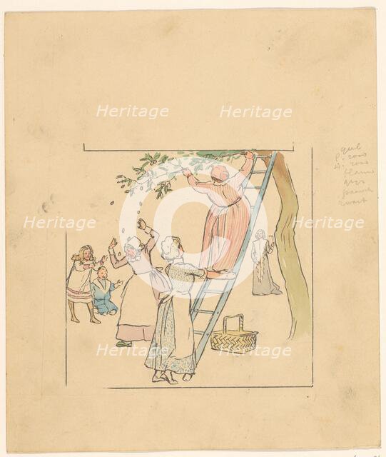 People picking plums, c.1880-c.1910.  Creator: Anon.