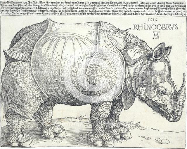 The Rhinoceros, 1515., 1515. Creator: Albrecht Durer.