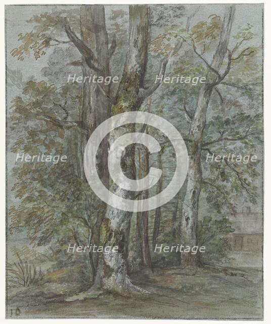 Tree studies, 1780-1855. Creator: Jan Dasveldt.