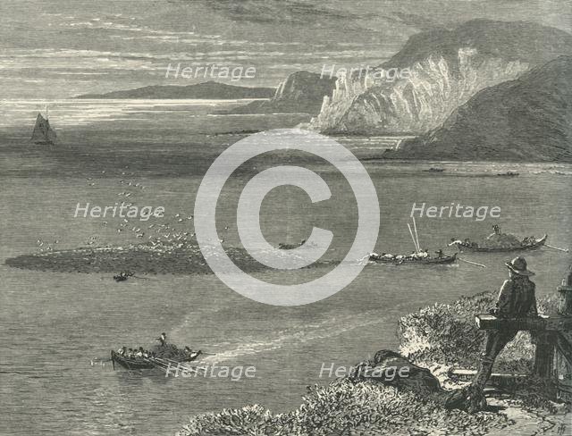 'Pilchard Fishing off the Lizard', c1870.