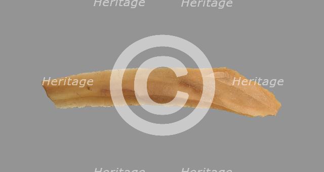 Sickle Blade, 1980-1801 BC. Creator: Unknown.