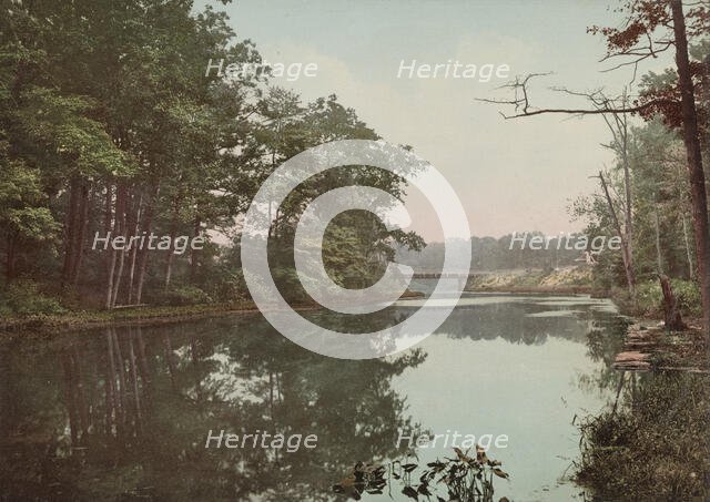 Bronx River in Bronx Park, New York, c1901. Creator: Unknown.