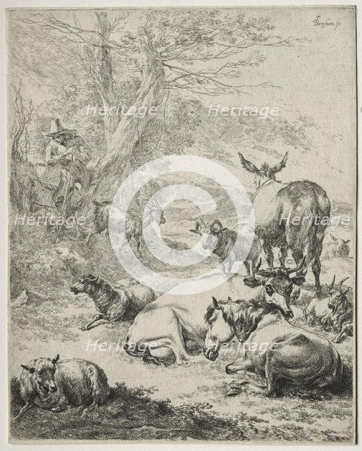 The Herd at Rest. Creator: Nicolaes Berchem (Dutch, 1620-1683).