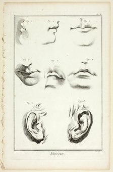 Design: Facial Anatomy from Encyclopédie, 1762/77. Creator: A. J. Defehrt.