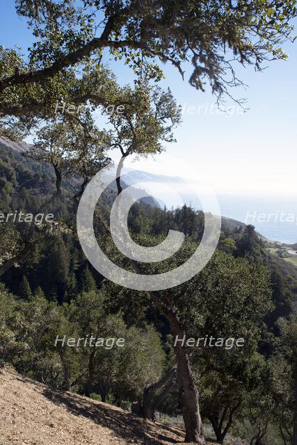 Big Sur, California, USA, 2022. Creator: Ethel Davies.