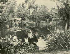 'Mr. Ryan's Gardens, Mount Macedon, Victoria', 1901. Creator: Unknown.