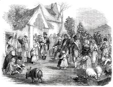 Hunting the Wren at Christmas - Procession of the Wren Bush and Wren Boys, 1850. Creator: Unknown.