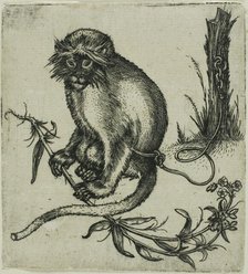 A Chained Monkey, 1559/1596. Creator: Franz Brun.