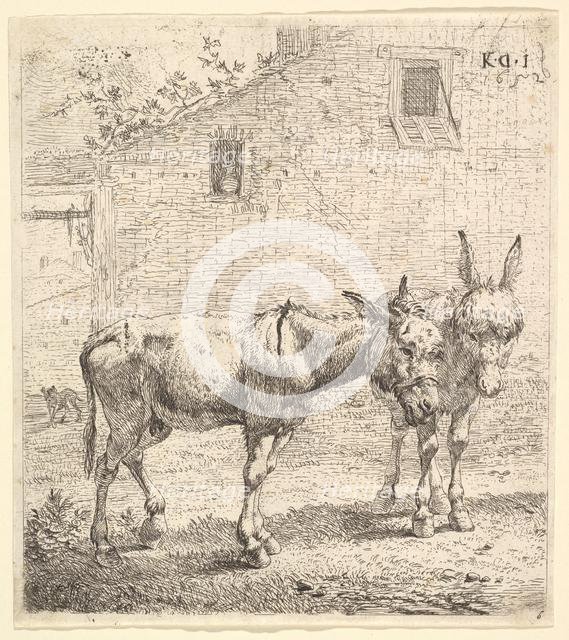 Two donkeys standing in a grassy yard, one in profile view facing right and another behind..., 1652. Creator: Karel Du Jardin.