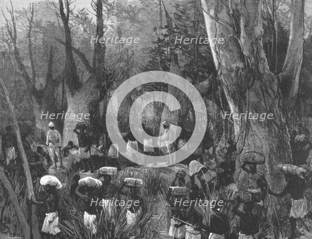 'The Graphic' Stanley Number; The Vanguard of the Expedition Marching throughthe Primaeval Forest',  Creator: Unknown.