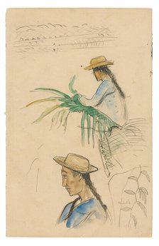 Sketches of Figures, Pandanus Leaf, and Vanilla Plant, 1891/93. Creator: Paul Gauguin.