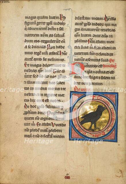 A Magpie; De Natura Avium; De Pastoribus et Ovibus, 1277 or after. Creator: Unknown.