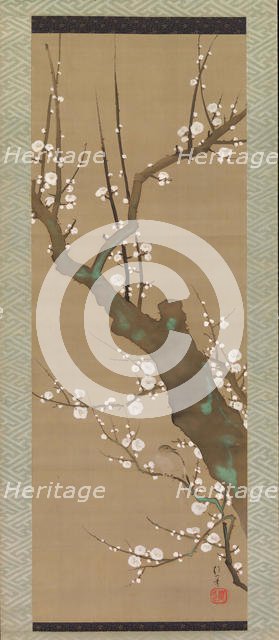 Bush Warbler (Uguisu) in a Plum Tree, early 19th century. Creator: Sakai Hoitsu.