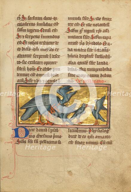 A Pelican Feeding her Young; De Natura Avium; De Pastoribus et Ovibus; Bestiarium, 1277 or after. Creator: Unknown.
