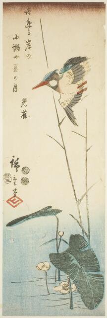 Kingfisher above a Yellow-flowered Water Plant, 1853, third month. Creator: Ando Hiroshige.