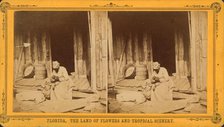An Hour's search; or, Aunt Venue hunting for Florida fleas, c1850-c1930. Creator: Unknown.