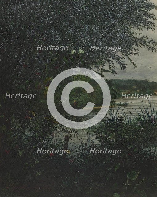 Willow Tree and Convolvulus in front of a River, 1865. Creator: Leon Bonvin.