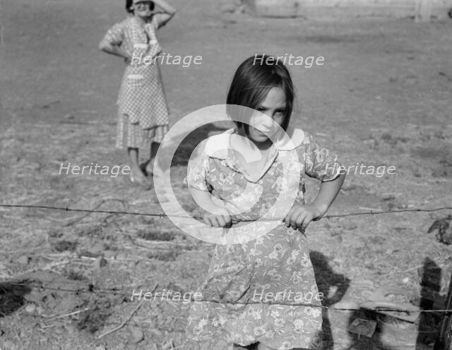 One of Chris Adolph's younger children, FSA Rehab..., near Wapato, Yakima Valley, Washington, 1939. Creator: Dorothea Lange.