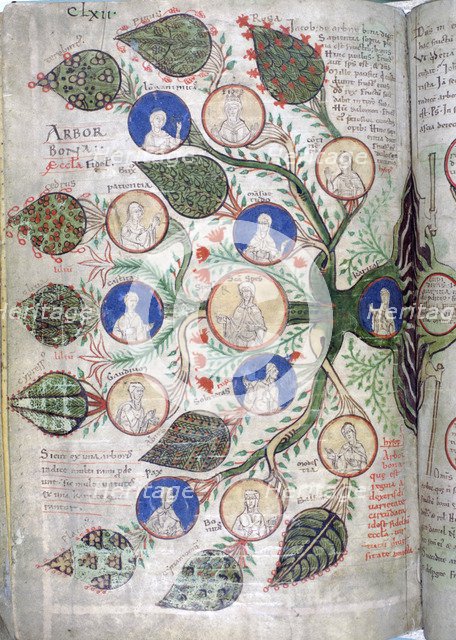 Family tree, a page from Liber Floridus, 12th century. Artist: Unknown