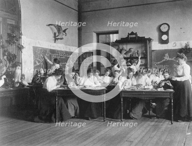 Young women in Washington, D.C. Normal School classroom studying birds, (1899?). Creator: Frances Benjamin Johnston.