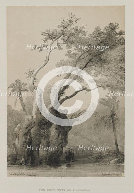 Egypt and Nubia, Volume III: The Holy Tree of Metereah, 1849. Creator: Louis Haghe (British, 1806-1885); F.G.Moon, 20 Threadneedle Street, London.