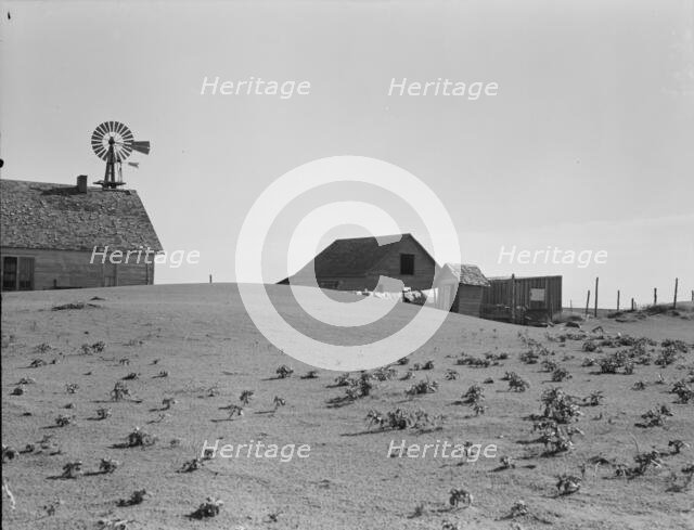 Dust Bowl farm, Coldwater District, near Dalhart, Texas, 1938. Creator: Dorothea Lange.