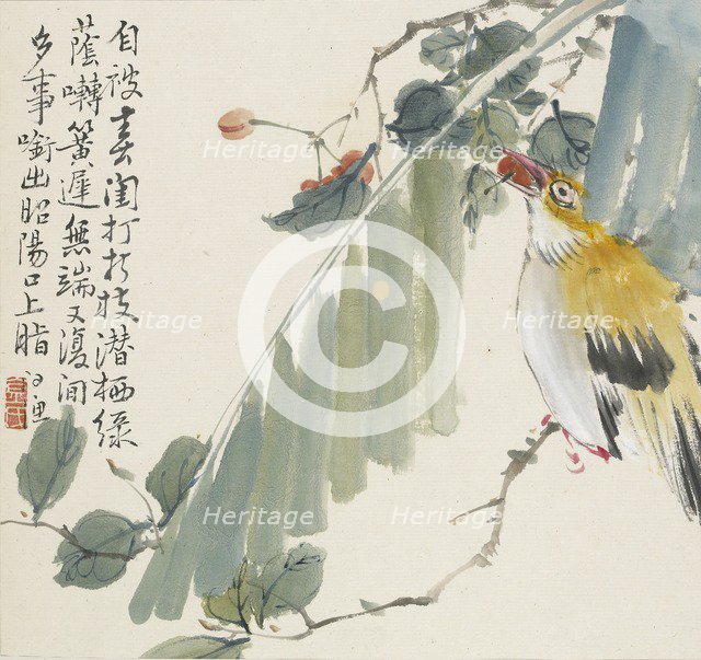 Golden oriole with a cherry in its mouth, 1857. Artist: Jin Yuan.