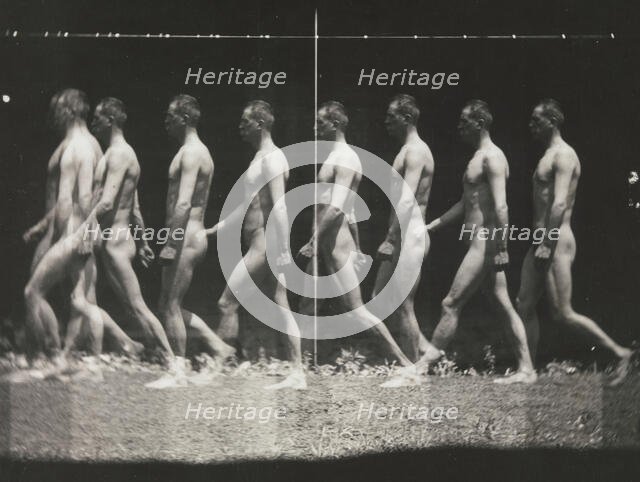 [Man Walking, "Stroboscopic" Photograph], 1880s, printed 1930s-40s., 1880s, printed 1930s-40s. Creator: Thomas Eakins.