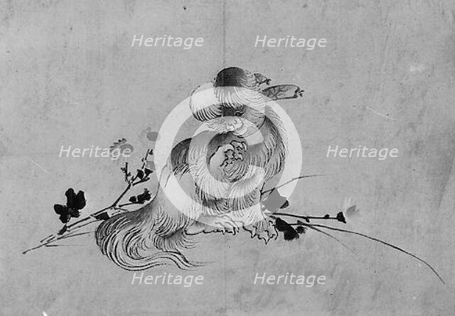 Pekingese, 19th century. Creator: Hokusai School.
