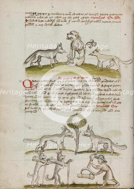 Fox and Wolf before a Lion: Two Wolves under a Tree Dragging Bales..., third quarter of 15th cent. Creator: Unknown.