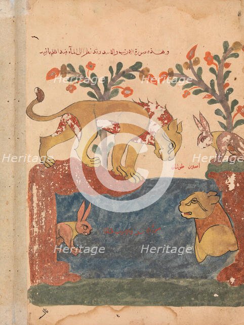 The Hare, the Lion, and the Well, Folio from a Kalila wa Dimna, 18th century. Creator: Unknown.