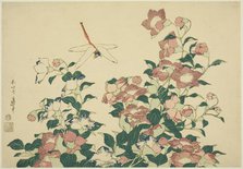 Bell-Flower and Dragonfly, from an untitled series of large flowers, Japan, c. 1833/34. Creator: Hokusai.