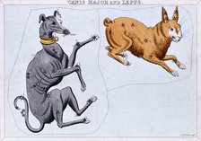 Constellations of Canis Major and Lepus, c1820. Artist: Sidney Hall