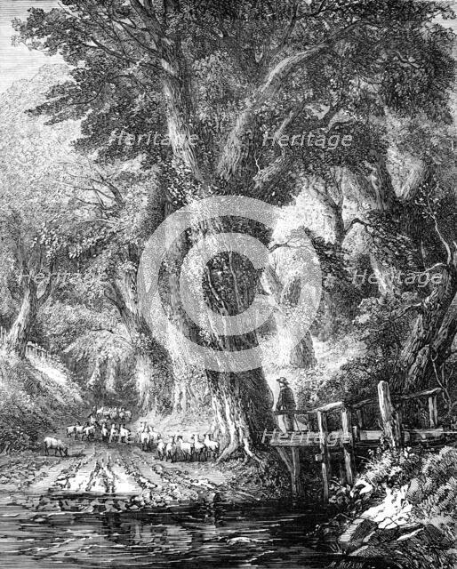 "The Brook" - painted by George Chester - from the Exhibition of the National Institution, 1856.  Creator: Mason Jackson.