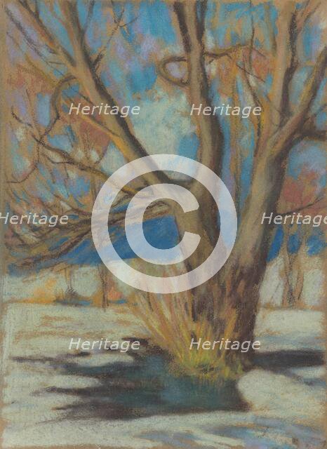 Study of a Bare Tree in Winter, 1934. Creator: Zolo Palugyay.