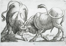 Two Bulls Fighting, 1610. Creator: Hendrick Hondius I.