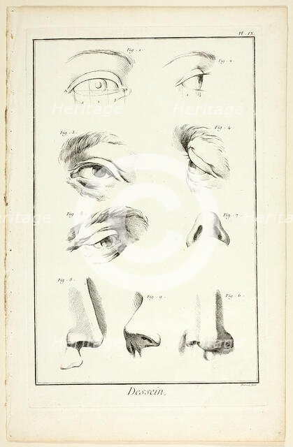Design: Facial Anatomy from Encyclopédie, 1762/77. Creator: Benoit-Louis Prevost.