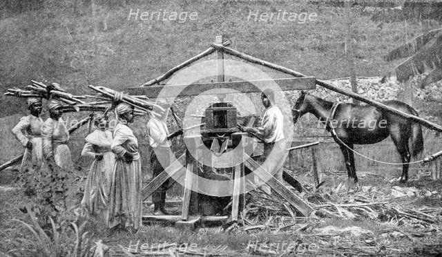 A wooden, horse-powered suger cane crushing mill, West Indies, 1922. Artist: Unknown