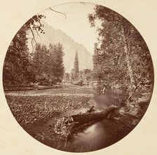 [Yosemite National Park, California], ca. 1878. Creator: Carleton Emmons Watkins.