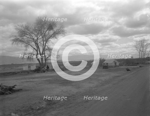 Part of a roadside ranch camp, twelve tents in this group, California, 1936. Creator: Dorothea Lange.