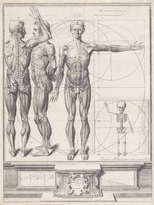 Plate for the ‘Atlas Anatomico’ (unpublished), Plate ca. 1680-9..., Plate ca. 1680-94; printed 1740. Creator: Crisóstomo Martínez.