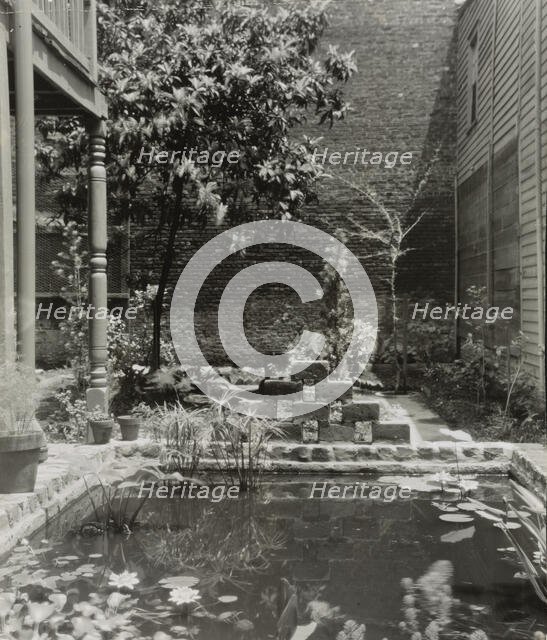 My patio court, March 21 to May, 1946. Creator: Frances Benjamin Johnston.