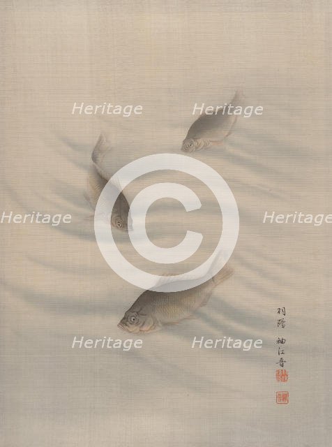Fishes Swimming, ca. 1890-92. Creator: Seki Shuko.