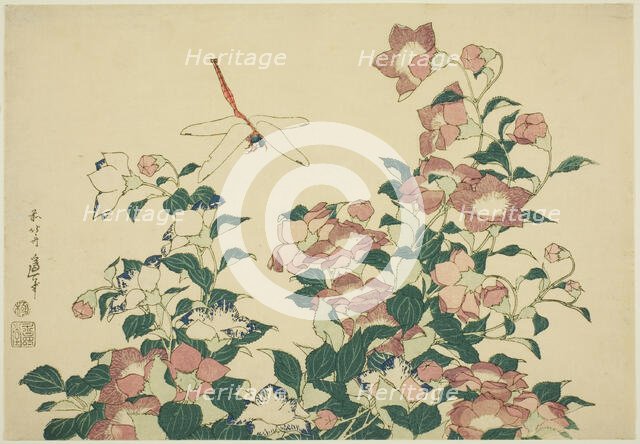 Bell-Flower and Dragonfly, from an untitled series of large flowers, Japan, c. 1833/34. Creator: Hokusai.